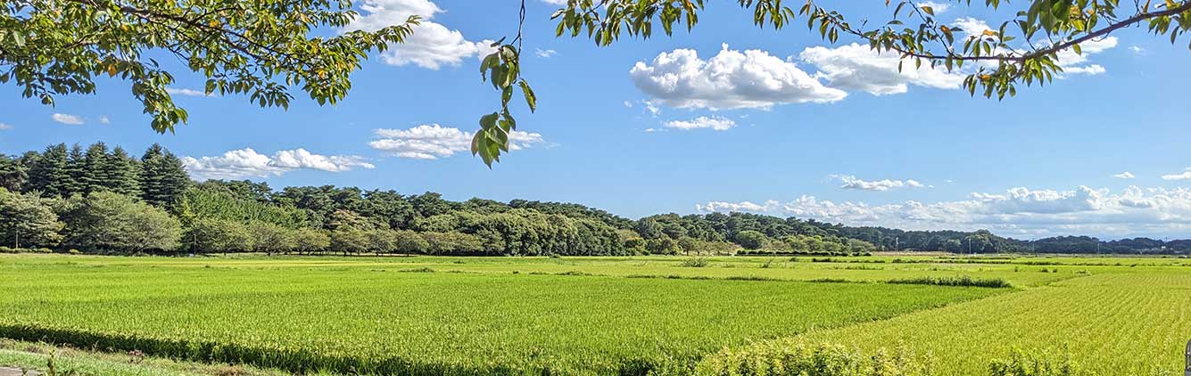 便利屋維新館林市